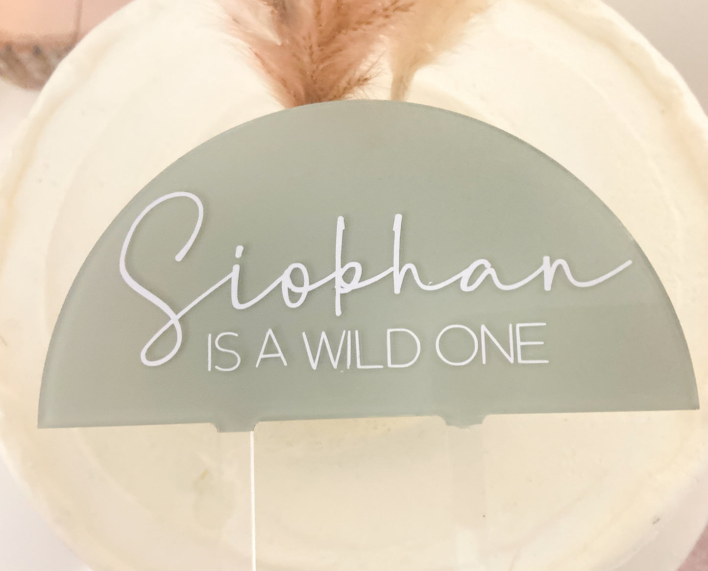 Wild one Acrylic cake topper | half circle acrylic | painted cake topper | birthday cake topper | Baby shower | party topper | clear acrylic